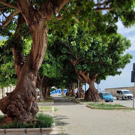 טרפאני Alla Marina Da Pina מראה חיצוני תמונה
