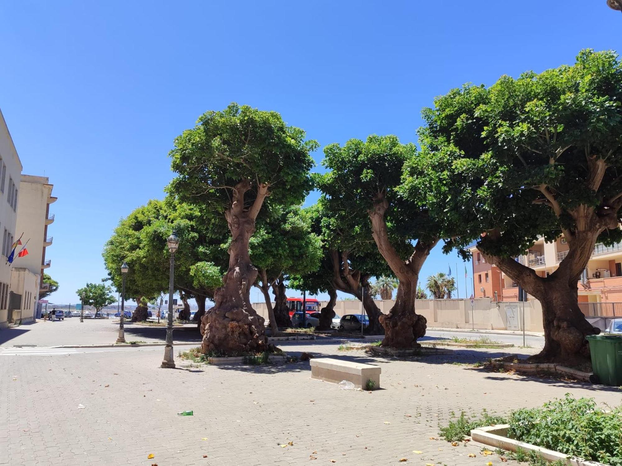 טרפאני Alla Marina Da Pina מראה חיצוני תמונה